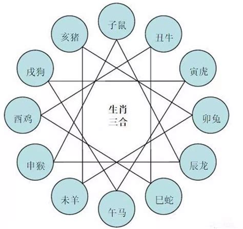 虎兔合不合|虎和兔属相合不合 虎和兔属相合不合婚姻